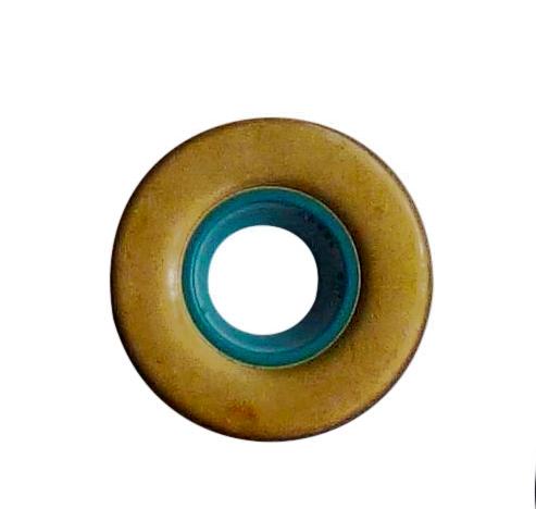 Radialdichtring zum Ritzel