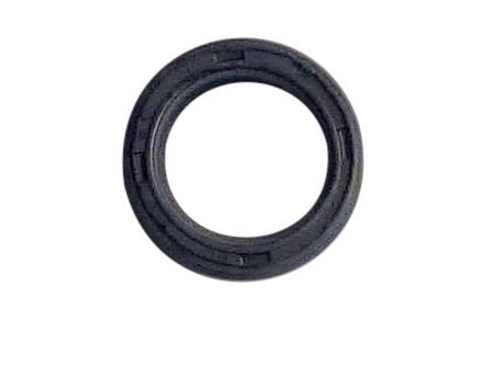 Radial seal ring for kickstarter shaft TT-K