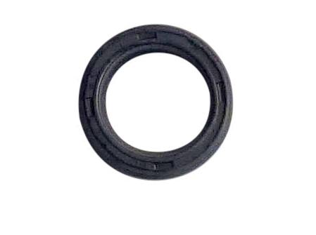 Radial seal ring for kickstarter shaft TT-K