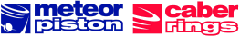 METEOR PISTON S.R.L.
